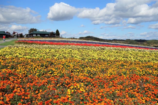 １０／１２（金）ー１５（月）北海道に行ってきました。<br /><br />昨年の夏に予定していた北海道旅行ですが、チロル地方への旅行に変更してしまい、実現していませんでした。<br /><br />私は夏の北海道には３回行ったことがあるのですが、秋の北海道は初めてです。<br /><br />他の地方にはたくさん旅行しているけれど、北海道は初めての友人と、阪急交通社さんの「夢の共演！３泊ともリゾートホテルに泊まる憧れの北海道４日間」というツアーに参加しました。個人で行くつもりだった時の半分以下の代金です。<br /><br />「地震の影響は大丈夫なの？」という心配の声も聞いていたのですが、結果的には何の問題もありませんでした。<br />お天気にも恵まれて、素晴らしい景色を堪能してきました(*^_^*)♪