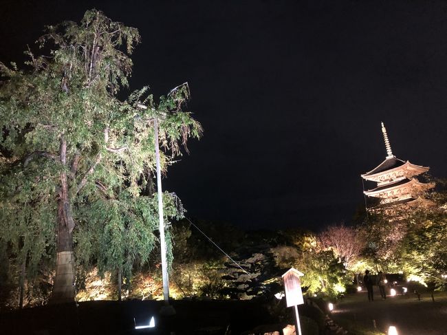 2018年10月に京都に日帰りで行ってきました。午前中から夜までみっちり遊びました。今回は夜編という事で、実はこれが今回の目的だったのですが、東寺のライトアップと特別の食事会&演奏会という企画をJCBカードがやっていたのを申し込んで参加してきました。プライベートのツアーはなかなか楽しかったです。<br />
