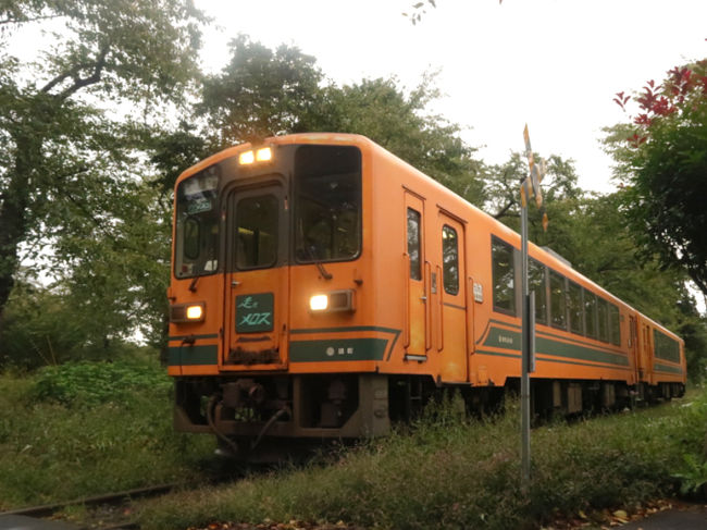 北海道に住む娘の招待をうけ、秋旅に出かけてきました。<br />北海道では釧路湿原の広大な景色や美味しいものを満喫し、また、青森県には北海道からフェリーを使って渡り、下北半島～津軽～八戸と巡ってきました。<br />台風の動きを気にしつつ、それでも紅葉真っ盛りの八甲田・十和田ゴールドラインでは<br />九州では見ることのできない美しい錦秋景色を堪能することができました。<br />９－6<br />今日は芦野公園の散策、田舎舘村の田んぼアートの見学後八甲田山ロープウエイに向かいます。<br />写真は津軽鉄道のローカル列車<br />