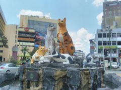 弾丸マレーシア1807　「ボルネオ島にある猫の街で、ご当地グルメを楽しみました。」　　　～クチン～