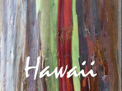 Hawaii③　ハワイビギナーの私たちが準備したこと＆気に入ったこと＆気になったこと