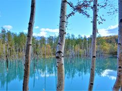 秋の北海道に大感動☆＊☆＜2＞美瑛編