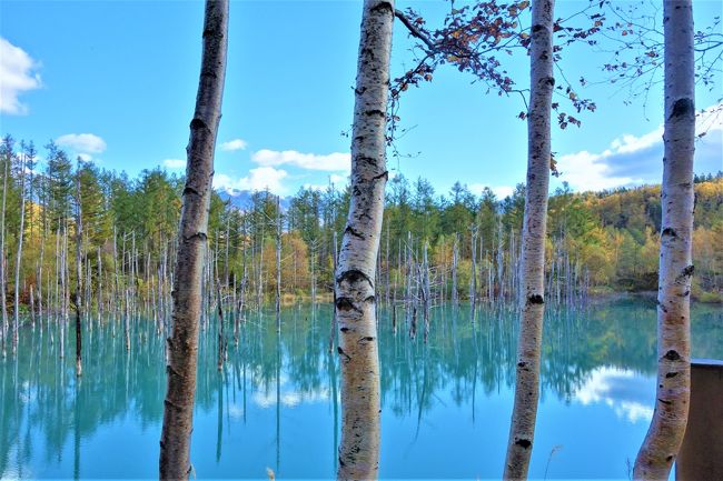 秋の北海道に大感動☆＊☆＜2＞美瑛編