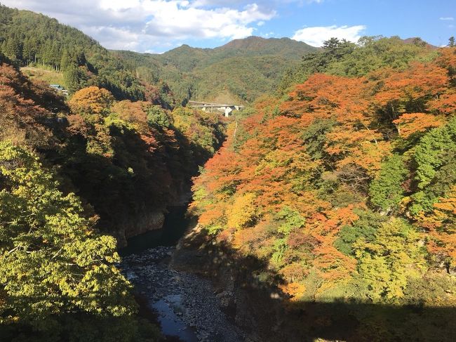 久しぶりの家族旅行♪<br /><br />本当は夏に企画していたんだけど、猛暑で温泉気分ではなかったため、秋の紅葉シーズンにしました。<br /><br />今回のメインは草津温泉と軽井沢。<br />紅葉真っ盛りの山々は赤や黄色に彩られて、とっても綺麗でしたw<br />温泉に入って、美味しい食事をして、運転手付き(旦那ですが…)の、楽しい旅行になりました。