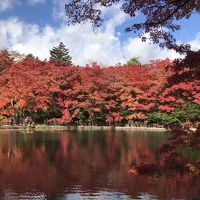 紅葉の草津温泉と軽井沢でまったり【2018.10】…雲場池は真っ赤っ赤～♪アウトレットでお買い物《3日目》