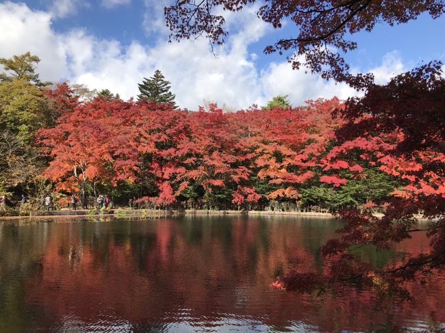 紅葉の草津温泉と軽井沢でまったり【2018.10】…雲場池は真っ赤っ赤～♪アウトレットでお買い物《3日目》