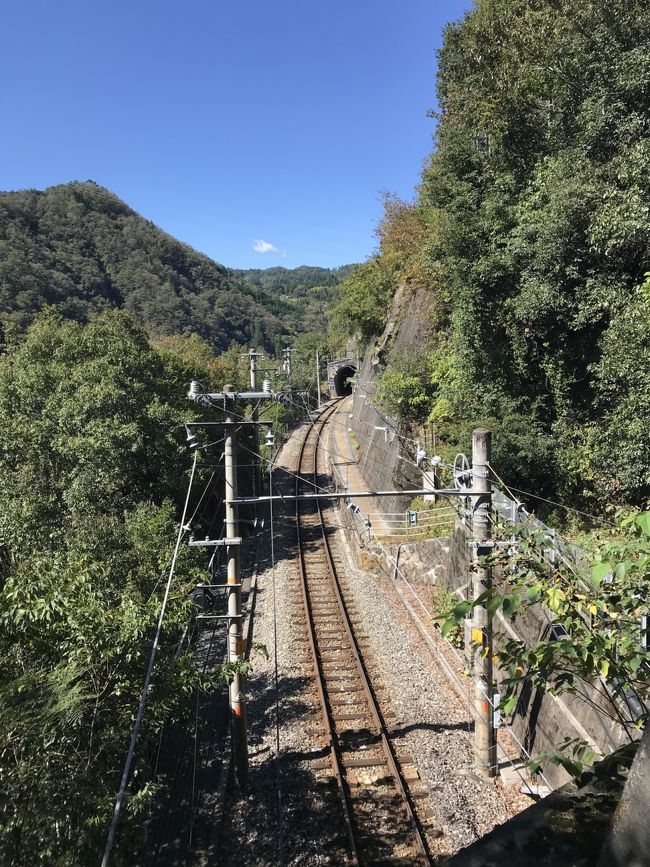 豊橋8:11発の天竜峡行きに乗車。<br />特急電車の遅れでダイヤが乱れ約10分遅れの12時前に到着。（ダイヤ上は11:48着）<br /><br />駅を探索後、山道を15分程歩くと県道に出る。<br />県道に出るとやっと自販機があった。<br /><br />高台を通る県道からの眺めは、棚田の風景や天竜川を望み、気持ちが良いウォーキングだった。<br />道中、僻地感のある県道沿いには、山城跡がある２つの山が案内板と共にあった。<br /><br />田本駅から温田駅に向かう県道は、ほぼ降り道だった。<br /><br />温田駅に近づくと家々が立ち、踏み切りを渡るともうそこは駅前通りだ。<br /><br />温田駅13:13発の豊橋行き電車に乗り、次の秘境駅・隣駅の為栗駅に向かう。<br /><br />田本駅から温田駅間の所要時間は約50分程だった。<br /><br />飯田線の秘境駅を１つでも多く巡るには、ウォーキングは必要だと思う。<br />