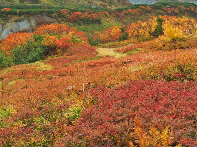 絶景の立山を満喫する山旅3泊4日　その5紅葉が最盛期の室堂散策編