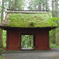 戸隠神社五社巡りの旅(奥社・中社・宝光社・九頭龍社・火之御子社)