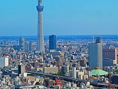 日本橋-2　東京都心大展望・スカイツリーが正面に　☆日本橋三井タワー38階から