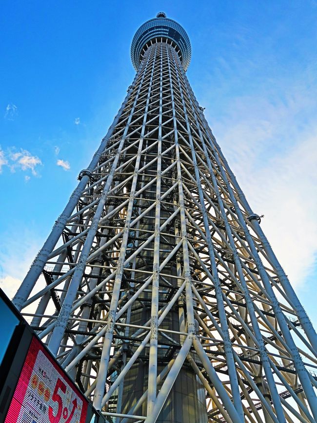東京スカイツリー（英: TOKYO SKYTREE）は、東京都墨田区押上一丁目にある電波塔（送信所）である。観光・商業施設やオフィスビルが併設されており、ツリーを含め周辺施設は「東京スカイツリータウン」と呼ばれる。2012年（平成24年）5月に電波塔・観光施設として開業した。 <br />建設費は約400億円。総事業費は約650億円。施工は大林組、設計は日建設計である。テレビ局からの賃貸料および観光客からの入場料などで収益を得る見込みである。<br />（フリー百科事典『ウィキペディア（Wikipedia）』より引用）<br /><br />東京スカイツリー　については・・<br />http://www.tokyo-skytree.jp/