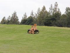 手軽にいける秋の花を見れる大宮花の丘公苑へ