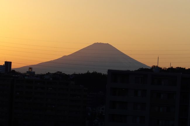 　10月に入って一番天気が良かったが、朝から夕方まで富士山が見えた日なのかを確かめるために、帰り道に裏山に上ってみた。夕方になっても裏山からは富士山が見え、今日一日は雲一つなかったので朝から夕方まで一日中富士山が見えたことになる。この辺りのダイヤモンド富士は秋はお彼岸の中日を少し過ぎた頃と言われている。ただし、この辺りからダイヤモンド富士が見えることは決してない。見えれば奇跡的なことだ。ここ毎年春と秋のお彼岸の頃は雲で富士山が見えることはないのが実情だ。5時少し前であったが、もう日没の感じで、夕焼け空になっている。朝の富士山（https://4travel.jp/travelogue/11415003）とはまた違った感じだ。<br />（表紙写真は裏山から見る夕方の富士山）