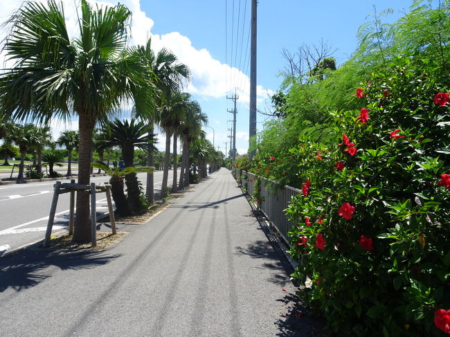 遅れて取った夏休みで、職場の先輩と初の沖縄離島に行ってきました！<br />先輩の周りの離島マニアたちが小浜島がいいと言っていたとのことで、誘われました。<br />小浜島でははいむるぶしに3泊して、島内散策、ビーチ、竹富島観光しました！<br />天気に恵まれて毎日晴れ！<br />暑かったけど、海は綺麗、空も青い、星空も綺麗と大自然を満喫しました！<br />海は正直ハワイより断然綺麗！<br />星空も初めて肉眼で天の川を見ました！<br />また行きたい！小浜島！！<br /><br />宿泊先:はいむるぶし 3泊4日<br />1日目<br />ANA91便 羽田→石垣<br />離島ターミナルからフェリーで小浜島へ<br />2日目<br />小浜島散策<br />ビーチ<br />BBQ<br />3日目<br />石垣島経由で竹富島へ<br />竹富島観光<br />4 日目<br />石垣島で海カフェ<br />ANA92便 石垣→羽田