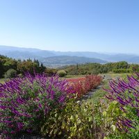 北斗市～野辺山で秋の味覚～赤い橋～ｳﾞｨﾗﾃﾞｽﾄﾜｲﾅﾘｰで昼食