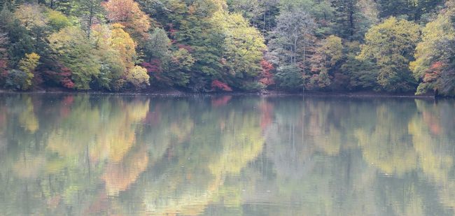 (写真は西ノ湖)<br /><br /> 先月の奥日光に続き、紅葉を求めて奥鬼怒、湯西川、川治を廻ります。予想通り台風の影響で色着きがよくありません。特に赤が少ない。このあたり一帯は平家の落人部落が多く、温泉は独特の雰囲気を持っています。紅葉前線は現在標高1400mあたり。例年より遅めです。<br /><br /> ・落人の流れて集う秘湯の秋<br /><br /> ・明けてゆく山肌紅く冷気充つ<br /><br /> ・一眼も時代変わればミラーレス