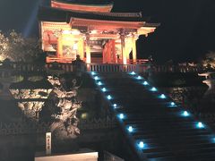 清水寺の秋の夜間拝観に初めて行ってみました