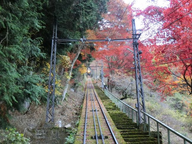 素晴らしい紅葉を見に!いざ京都、奈良へ、テクテク1人旅。とんだハプニング比叡山編③