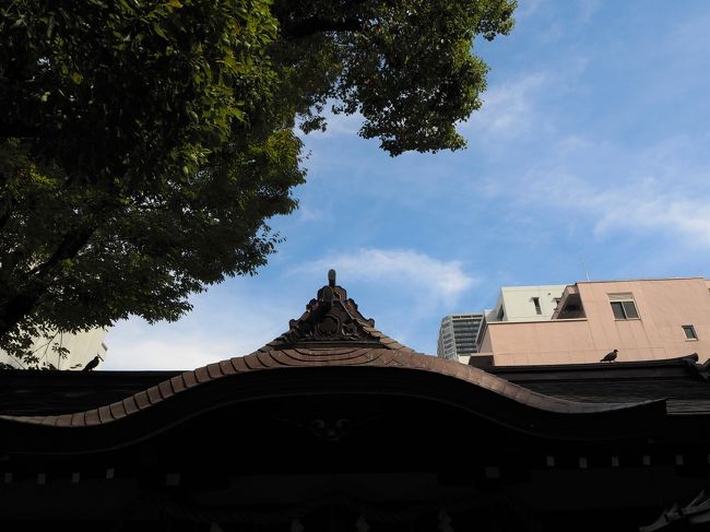 大阪の立売堀（いたちぼり）に鎮座されるサムハラ神社、すごいパワースポットとして名が通っています。<br /><br />この日は、秋季大祭の日です。<br /><br />都会の小さな神社、特に屋台が出たり御神輿が練り歩くとかいうことは無いでしょうが、パワーが強まっているのではないかと思い、お詣りすることに。<br /><br />到着した時には神事が行われており、関係者だけが境内に入れるようで、一般の人の参拝はできないようです。<br /><br />この日にお詣りする人は多く、一般の参拝人は近くの公園での待機になっています。<br /><br />【写真は、並んでやっと到着した拝殿の屋根です】