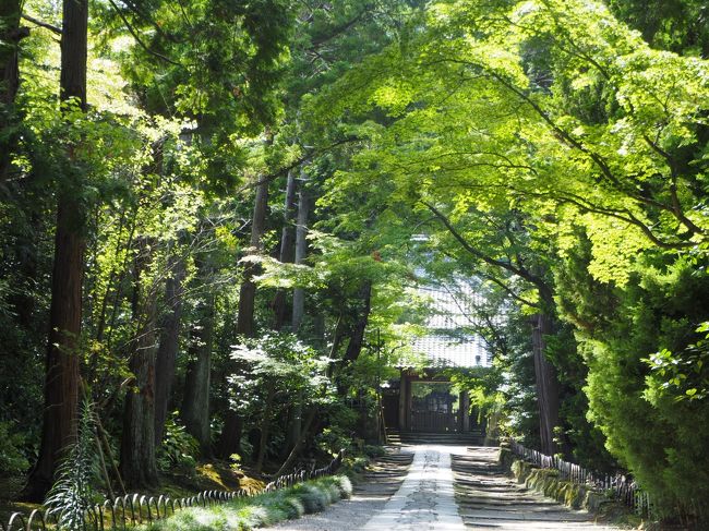 寿福寺  じゅふくじ <br />鎌倉市扇ケ谷1ｰ17ｰ7<br /><br />鎌倉五山第三位<br /><br />源氏と鎌倉幕府にとてもゆかりの深い土地が<br />こちらの寿福寺さん。<br /><br />開基　北条政子　(所説あり。源頼家・源実朝という説もあり)<br /><br />頼朝が亡くなるその菩提を弔うために創建<br />頼朝の父、義朝の居舘があったこの地へ