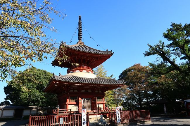 フォートラベルさぼり気味のあんこう鍋です。<br /><br />少しは活動しなきゃと奮起して、<br />本日は埼玉県の川越に行ってきました。<br /><br />今回は少し時間もあるし、いつもなら少し遠くて行けない氷川神社にも<br />足を延ばしました。<br /><br />天気も良くて、楽しく気分転換にもなりました。