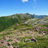 農鳥岳～笹山 / 白峰南嶺踏破のために-その3