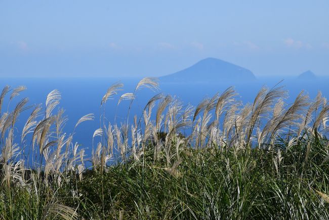 細野高原の秋は、標高400m付近から標高821mの三筋山（みすじやま）の山頂までの約125haという広大な一面のすすき野原になります。その規模は箱根仙石原にある「すすき草原」の７倍もあります。<br /><br />昭和期まで日本各地では茅場として利用される草原が多くありましたが、茅葺屋根や農耕用牛馬の飼料の需要が少なくなり、茅場の多くが放棄されるようになりました。<br />しかし、細野高原では地域住民の手により、毎年山焼きが行われ、数百年の間すすきの草原が維持されてきました。<br />山焼きをすることによって害虫の駆除や周辺の木々の侵入を防ぎ、湿原とすすき野原の雄大な自然が維持されてきました。<br /><br />さらに細野高原では、三筋山の頂上付近から眼下に広がるすすき野原と、その先に広がる相模湾と伊豆諸島を一度に眺めることができ、「海すすき」と呼ばれる素晴らしい絶景が楽しめます。<br />2018年の「秋のすすきイベント」は、10月10日～11月9日に開催されています。<br /><br />今日は伊豆稲取駅から季節運行の路線バスに乗ります。<br />細野高原の入山料は600円。トイレ、遊歩道、頂上付近までの無料シャトル便、散策マップ、ガイドによる案内、太平洋が見渡せる絶景ポイント等、念入りに整備されています。<br />広大なすすき野原を通る遊歩道からは、青空と紺碧の海をバックに黄金に輝くすすきの景色を堪能できます。<br />秋の花であるヤマトリカブト、ヤマラッキョウ、リンドウなども楽しめます。<br /><br />なお、旅行記は下記資料を参考にしました。<br />・東伊豆町観光協会「稲取細野高原 秋のすすき」<br />・ユーラスエナジー「プロジェクト実績、ユーラス河津ウインドファーム」<br />・静岡県景観まちづくり課「観光地エリア景観計画：細野高原、平成29年3月」<br />