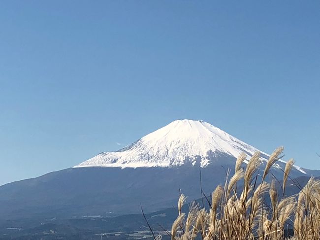 久しぶりの秋晴れ！遠くからしか富士山を見たことのない子供たち（8歳と5歳）を連れて大野山へハイキングに行ってきました。あまりアップダウンはないけれどさすがに15キロくらいある道のりに5歳児は弱音を吐くこともあったけど頑張って歩ききりました。頂上で思いっきりゴロゴロして気持ちの良い1日でした！