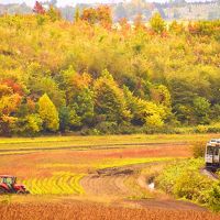 秋の北海道、道央地方を巡る旅 ～JR富良野線の紅葉を見に美瑛（上富良野）の丘に訪れてみた～