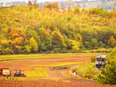 秋の北海道、道央地方を巡る旅 ～JR富良野線の紅葉を見に美瑛（上富良野）の丘に訪れてみた～