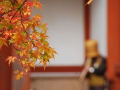 ひとり紅葉狩り部　ヒトリナラ　当尾石仏の道～室生寺～長岳寺～談山神社～正暦寺