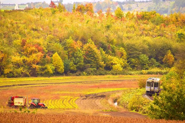 秋の北海道、道央地方を巡る旅 ～JR富良野線の紅葉を見に美瑛（上富良野）の丘に訪れてみた～