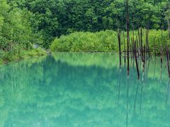 天気に泣かされた美瑛撮影旅行