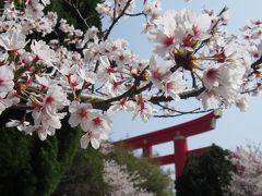 2018年大人の春休み（・∀・）＜美味しいもの満喫、初めての淡路島旅行！！