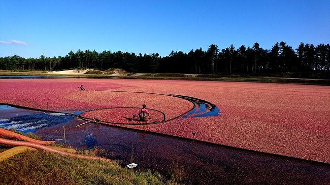北米東海岸 カナダ アメリカ ボストン編 ボストン アメリカ の旅行記 ブログ By ごはんぢゃワンさん フォートラベル