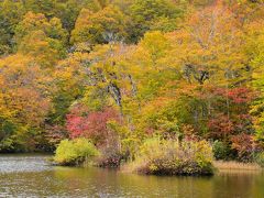 秘境の湯治湯「小谷温泉 山田旅館」と紅葉の名所「鎌池」 2018（長野）