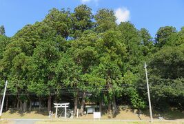 2018秋、奥三河の続日本百名城(1/9)：古宮城(1)：車で古宮城、白鳥神社、鳥居、主郭虎口