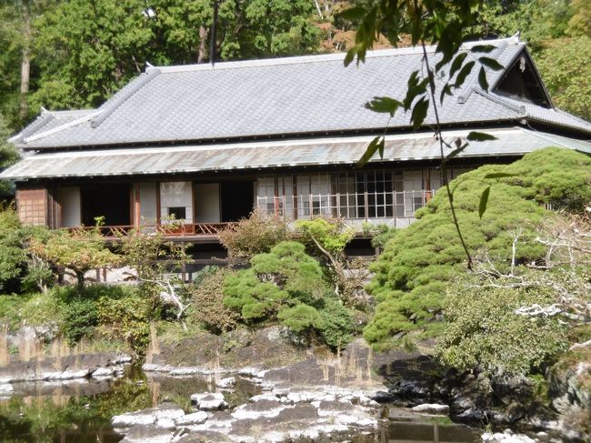 平成３０年４月に三島市の楽寿園に行きました。この楽寿園内に存在する静岡県の文化財に指定されている「楽寿館」のガイド付ツアーに参加できず、今回は再度チャレンジとなりました。<br />結論的に、朝１番目に実施されるガイド付ツアーに参加でき、私ら夫婦とあと一人の観光客の三人でしっかり説明が聞けて、古美術品・家具・天井画なども見られたので大満足でした。<br />この「楽寿館」は明治維新で活躍した「小松宮彰仁親王」が別邸として住んだ屋敷であり、館内は京間風の高床式数寄屋造りの建物です。<br />館内には襖絵や板絵などが野口幽谷をはじめ帝室技芸員（現在でいう人間国宝）によって描かれた装飾絵画が数多く見られます。<br />専門のガイドが説明・案内してくれて、素晴らしい板絵・襖絵・天井画などが見られ、しかも料金は入園料のみですので、一度はご欄になったらいかがでしょうか。