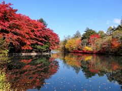 紅葉の軽井沢☆秋色に彩られた雲場池・見晴台と御朱印めぐり（熊野皇大神社・熊野神社・諏訪神社）