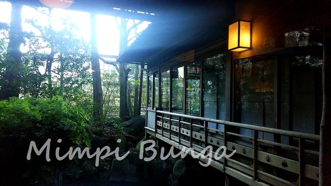 【箱根の有形文化財の温泉宿に泊まる旅】富士山と沼津丼～箱根神社～「環翠楼」宿泊記：後編