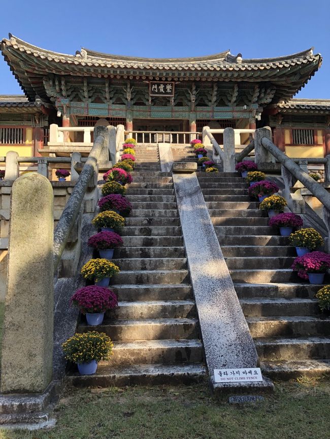 海印寺を訪れたあと慶州市に移動し1泊、翌日は今回の旅のハイライト、仏国寺と石窟庵を訪れた。慶州駅からは市内バスで約40分行ったバス停から徒歩5分ほど。石窟庵は更にバスに乗って20分ほど登って行くと到着する。このバス停はなかなか分かりにくく、あちこち探したが見つからない。諦めて手当たり次第英語で聞いてみたところ、日本語で丁寧に教えてくれる人がいた。聞いてみると然もありなん、日本語ガイドで石窟庵へ向かうところだった 。ご好意に甘えて仏国寺と石窟庵について詳しく聞くことができた。日韓関係の少々際どいことも聞いてみたかったが、ここは巧みにかわされた、と言うべきか。<br /><br />まずは仏国寺について、解説によれば、新羅景徳王の宰相により建立され774年に完成、8世紀半ばには約60棟の木造建築が建設され最盛期を迎えた。しかし15世紀に入って李氏朝鮮の太宗による仏教弾圧により廃寺になり、20世紀初頭には紫霞門左右の行廊も倒壊、石壇も埋もれてしまった。その後日本統治時代の1924年に朝鮮総督府による再建工事によって石壇・石廊を含む主要構造が修復された。そして戦後の1973年に発掘調査が行われ、改修工事により現存する無説殿、観音殿などが再建された。<br /><br />もう１つの世界遺産である石窟庵は仏国寺からバスで20分、更に爽やかな山道を10分ほど登っていったところにある。本尊は高さ3.4mの如来坐像で、額の部分には劣化防止のためのガラスが埋め込まれている。エジプトのアブシンベル神殿がそうであるように、日の出の瞬間の太陽の光が石窟内に差し込み、本尊に当たる設計になっている。この石窟庵にも日韓関係を象徴するエピソードがある。韓国では近年まで本尊となる仏像は2体あったが、1体は日本に盗まれたと考えられていた。しかし最近の調査の結果、もともと仏像は1体であり日本に盗まれたというのは俗説であることがわかったそうである。<br /><br />日本に入ってきた仏教を中心とする大陸文化は、基本的に朝鮮半島を経由してきたものである。韓国の仏教遺跡を巡るとそれを実感させられる。同時に日本の侵略行為が韓国の誇る文化伝統を深く傷つけていた事実に直面する。過去に目を閉ざすことなく、日韓関係が改善されることを切に望みたい。