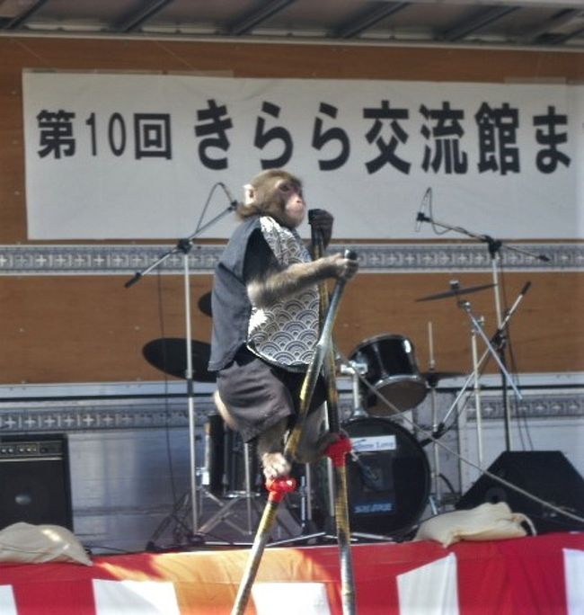 2018年10月　山口県・山陽小野田市　きらら交流館まつりと竜王山でアサギマダラを見ました。