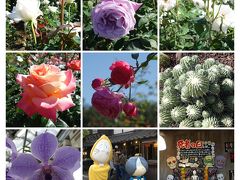 秋のお散歩　神代植物公園と深大寺