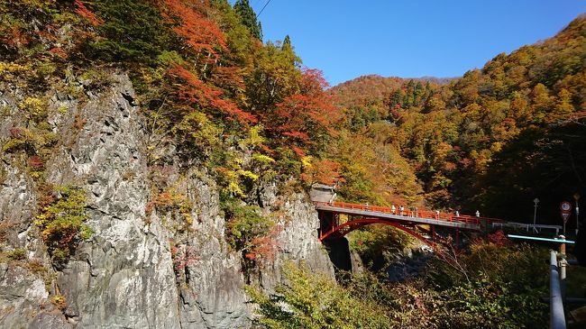 紅葉を楽しむために、クラブツーリズムのバスツアーに参加してきました。<br /><br />1泊2日で長野周辺の旅です。<br /><br />日程は、<br />1日目 昼食 長野「おぎのや」できのこ御膳<br />小布施にて50分散策<br />松川渓谷(雷滝・八滝)を観賞<br />宿泊はホテルノース志賀<br /><br />2日目 秋山郷<br />奥只見湖て遊覧船乗船<br /><br />天気予報では、最初土曜日に雨マークがついていたので心配しましたが、<br />高速走っている頃には止み、まずまずの天候の中での旅行となりました。