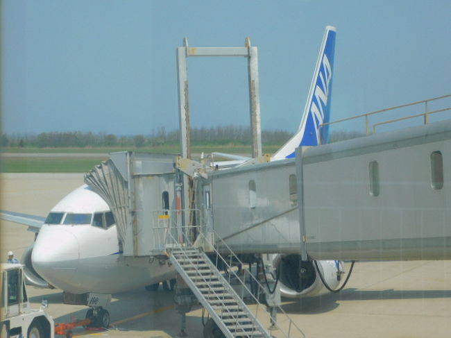 4月下旬。新潟空港11:00発、全日空1865便、那覇空港行きの搭乗記です。この路線は、１０月～5月までの季節運航。6月～9月までは運休します。今回は、UA航空の特典航空券を使い、新潟→那覇→羽田→稚内の１レグ目。最終目的地が、稚内なので、直行便がないので、経由便でわざわざ南下してから北上することにしました。UA航空のルールでは、直線距離にして８００マイル以内だったら、どのように乗り継いでも5000マイル分だけで旅をすることができます。ANAよりも国内を旅するのには、とてもお得感がありました。