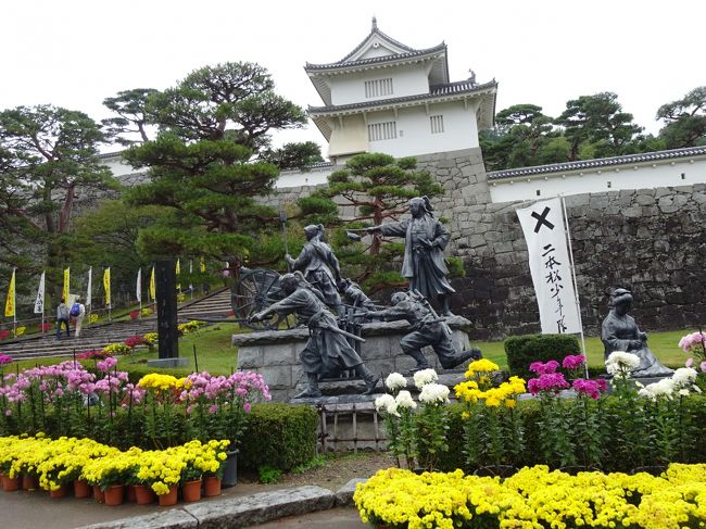 福島4日間の旅の最終訪問地・二本松城跡を紹介させて頂きます。<br /><br />今日は午前中に二本松を経ち郡山12:39発やまびこ212号で帰路につく予定なので、滞在時間はわずか2時間程となります。<br />回り方は箕輪門前から本丸に上がるのがオーソドックスですが、前夜泊まった二本松岳温泉の宿喜ら里さんに短時間で回れるという坂道を上がった駐車場まで連れて来てもらいました。先に城址を見て回り、時間が余れば菊人形展を見るつもりですが・・<br />************<br />二本松城は室町時代に畠山満泰が城を築いたと言われており、その後、伊達氏、蒲生氏、上杉氏などの所領を経て、江戸時代(1643)に10万石で入部した丹羽光重により石垣や城下町を整備し、現在残る二本松城を築き上げたと言われています。<br />二本松市郭内にある標高233m付近となる麓の居館部分と、標高345m白旗が峰に築かれた城郭からなる平山城で国の史跡です。二本松城は 別名、霞ヶ城・白旗城と呼ばれ、 日本100名城 に選ばれています。<br />城は幕末の戊辰戦争で新政府軍による攻撃を受けて落城、江戸時代の建物はほぼ無くなりました。今は霞ヶ城公園として整備されており、石垣と再現された箕輪門があります。さらに山上の本丸には天守台、石垣が再構築されました。箕輪門の近くに幕末の戊辰戦争でふるさとを守るために若い命を散らした”二本松少年隊群像”があり悲話を残しています。<br /><br />「戊辰戦争で戦った会津藩の白虎隊は良く知られていますが二本松少年隊のことは殆んど知られてなくて・・・」「知らなかったですねー」と、こちらに向かう車中で地元住民だと言う宿の運転手さんと交わした会話が心に残りました。<br /> <br /><br />　