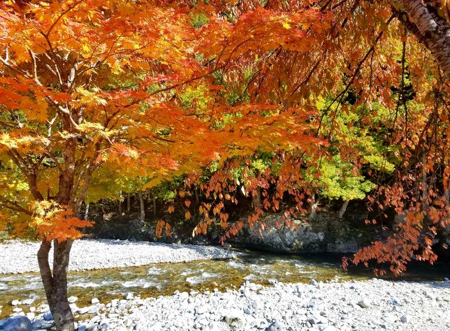今年の繁忙期も無事終了し、仕事を休んで旅行に行けるようになりました!<br />7月の豪雨で高山研修が中止になったのが心残りだったので、いざ高山へ。<br /><br />前準備は宿の予約とドライブルートの確認のみです。<br />今回は高山のほか、郡上八幡や下呂温泉などに立ち寄ります。<br />