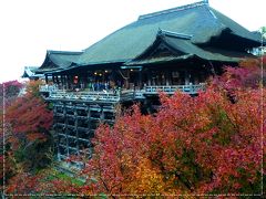 【2016年秋】紅葉の京都へ・早朝清水寺編