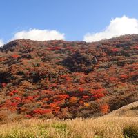 プロペラでぶぃ～ん（笑）＋レンタカー／おんせん県＆熊本で湯めぐり＆神社仏閣＆紅葉満喫４泊５日