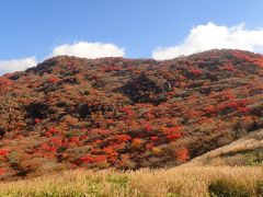 プロペラでぶぃ～ん（笑）＋レンタカー／おんせん県＆熊本で湯めぐり＆神社仏閣＆紅葉満喫４泊５日